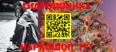 дживик Ставрополь
