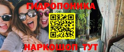 дживик Ставрополь