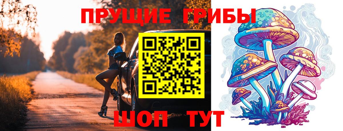 Можайск  Псилоцибиновые грибы MAGIC MUSHROOMS  Вход с VPN  Псилоцибиновые грибы Psilocybine cubensis 