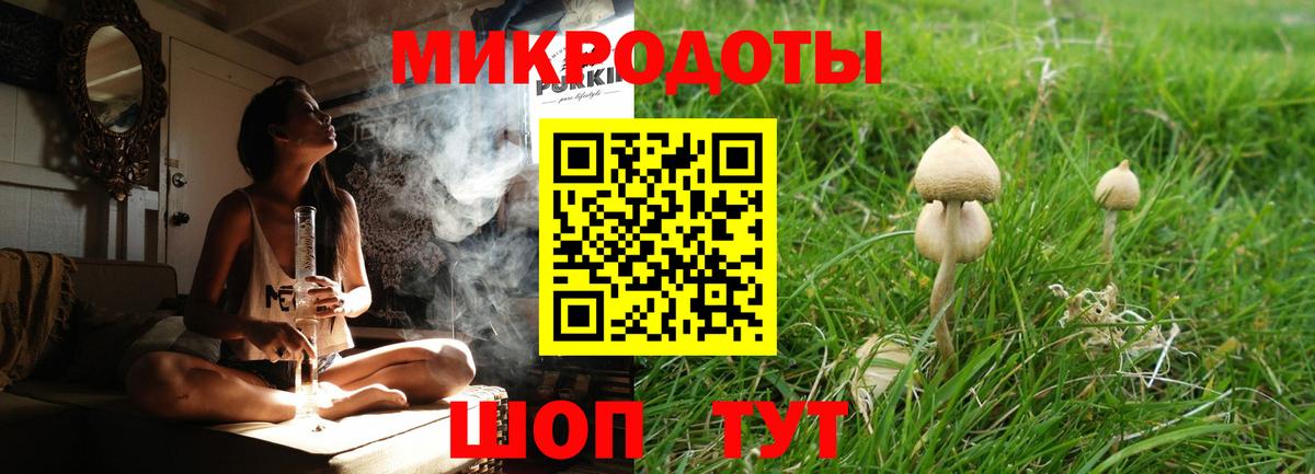 Галлюциногенные грибы Psilocybe Можайск